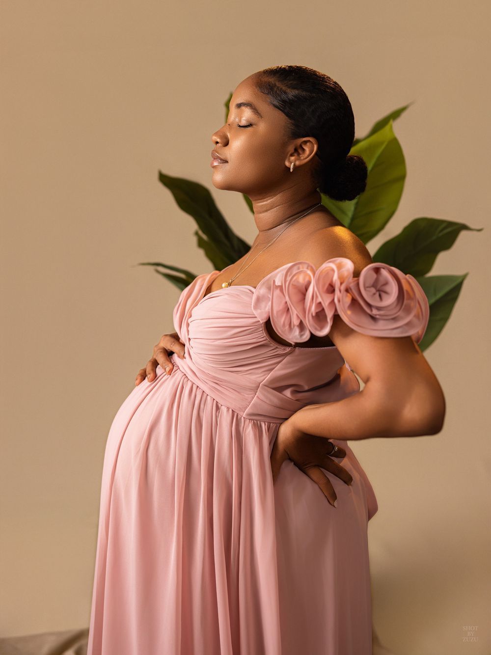 Elegant maternity portrait with a pink flowy dress featuring rose-detailed puff sleeves against a neutral backdrop with green leaves.